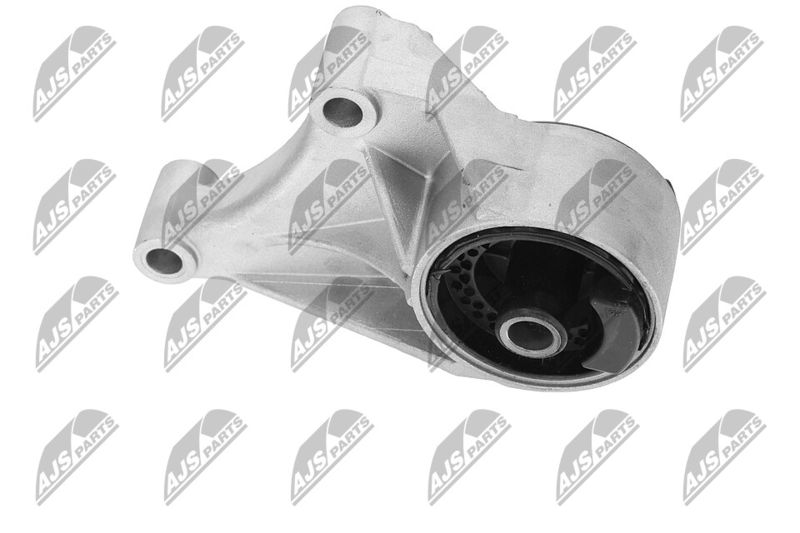 Paigutus, Mootor, NTY ZPS-PL-069