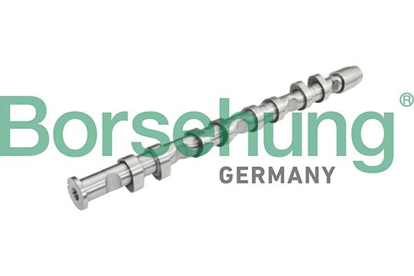 Nukkvõll, Borsehung B13032