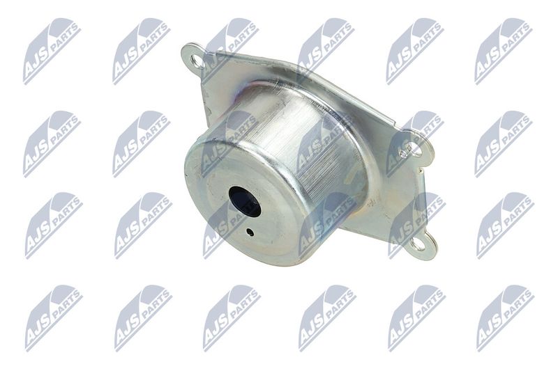 Paigutus, Mootor, NTY ZPS-PL-044
