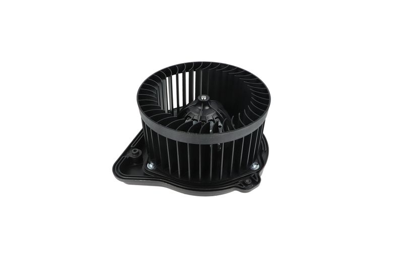 Salongipuhur, NRF 34136