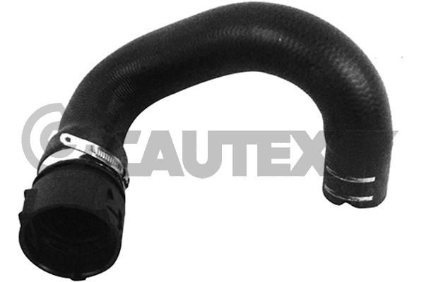 CAUTEX 753711 - Radiatoriaus žarna