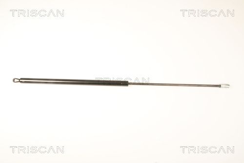 TRIS87109016.JPG