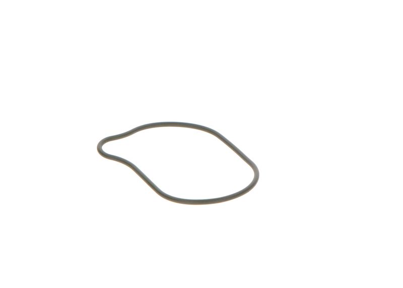 BOSCH 2440210028 Rubber Ring