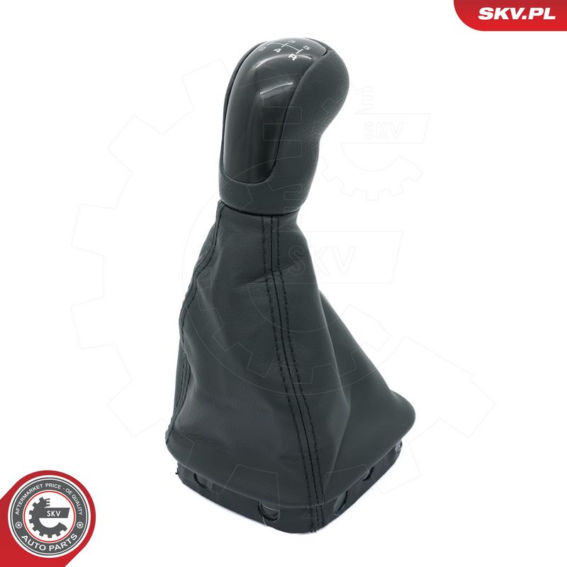 Käigukanginupp, ESEN SKV...