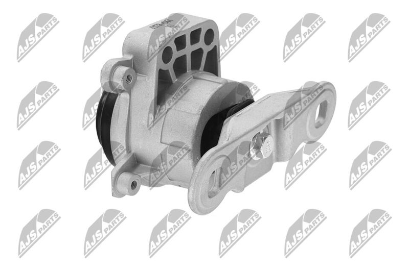 Paigutus, Mootor, NTY ZPS-FR-044