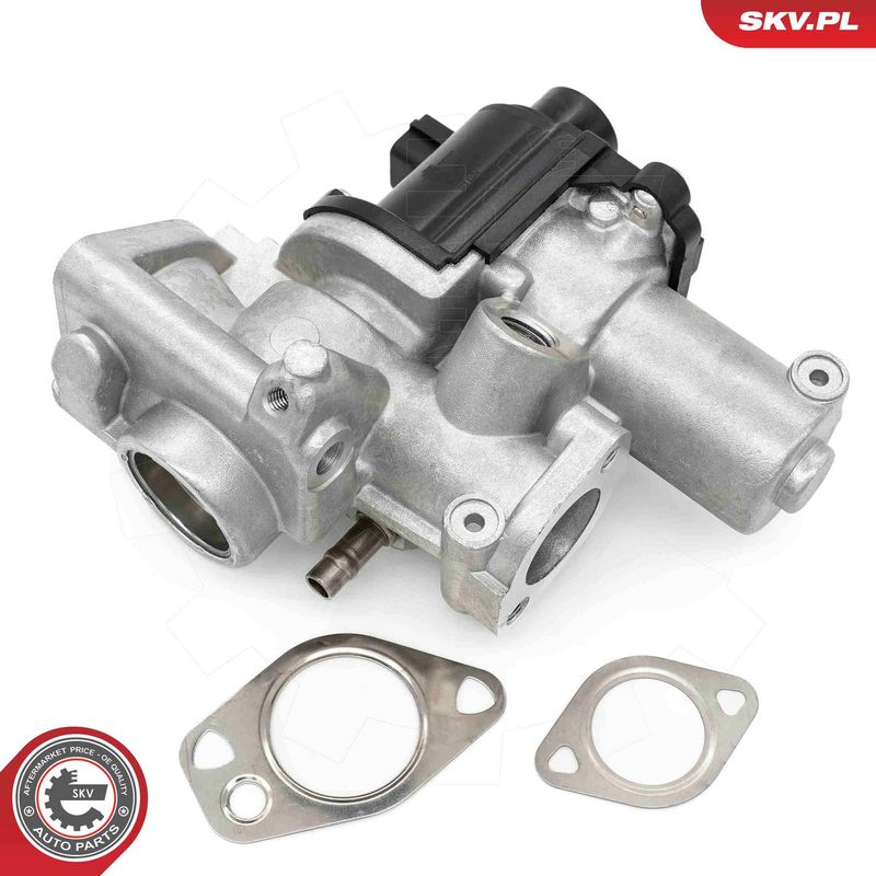 EGR-klapp, ESEN SKV 14SKV253