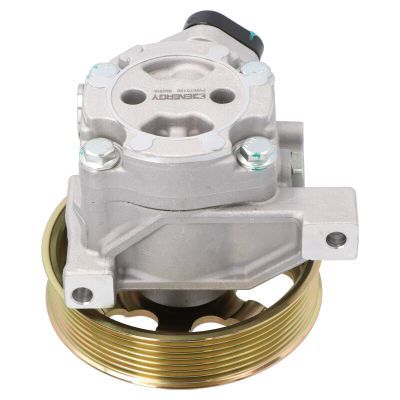 ENERGY PW670196 Hydraulic Pump, steering