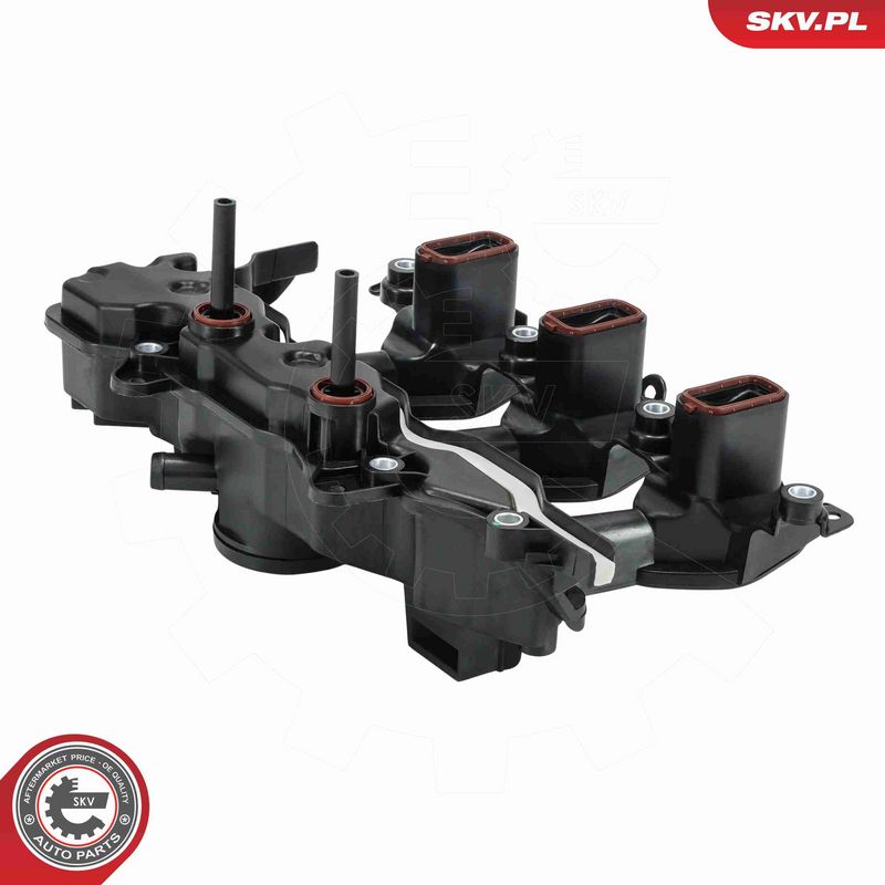 ESEN SKV 49SKV102 Intake Manifold Module