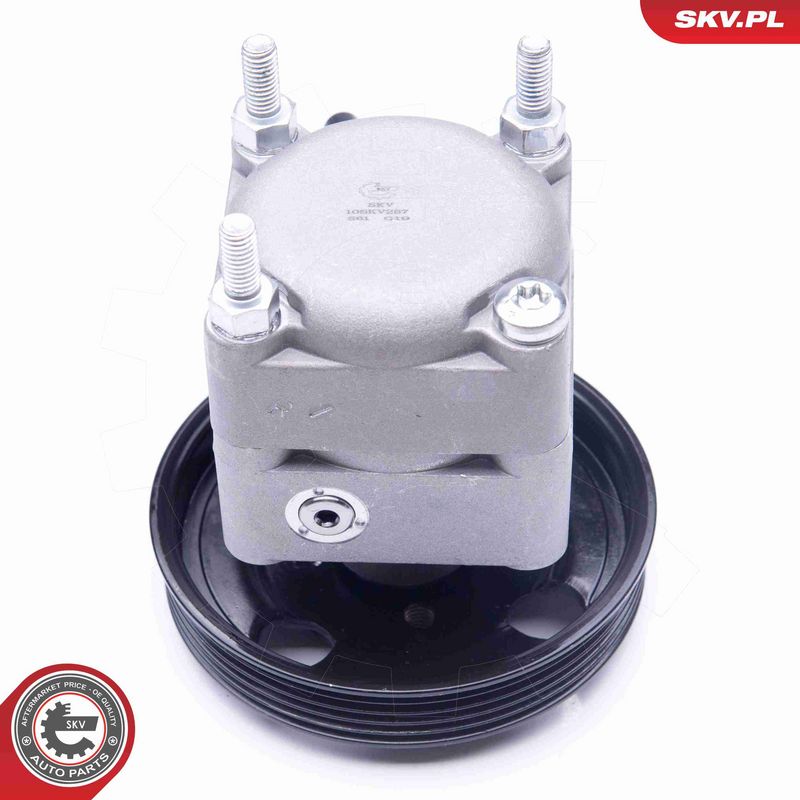 ESEN SKV 10SKV257 Hydraulic Pump, steering