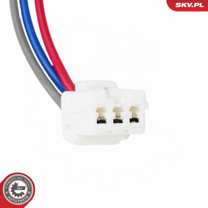 ESEN SKV 60SKV667 Tailgate Lock
