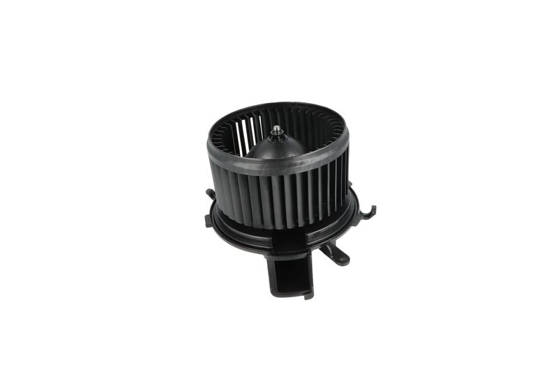 Salongipuhur, NRF 34234