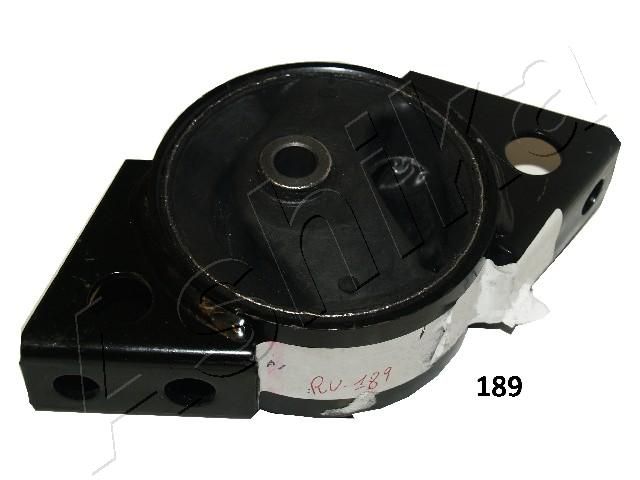 GOM-189_1.JPG