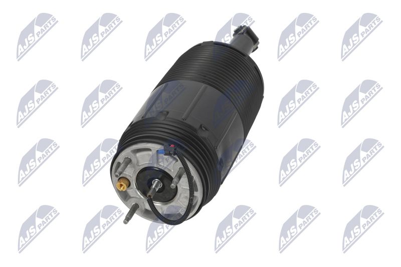 Amort, NTY A-CH-099
