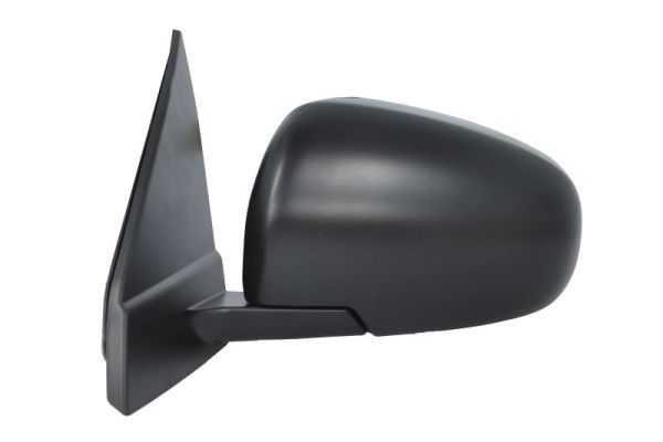 BLIC 5402-18-1384310P Exterior Mirror