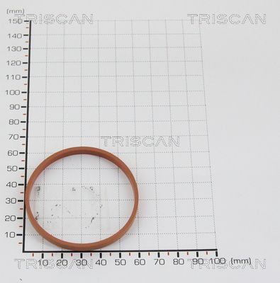 TRIS88139939.JPG