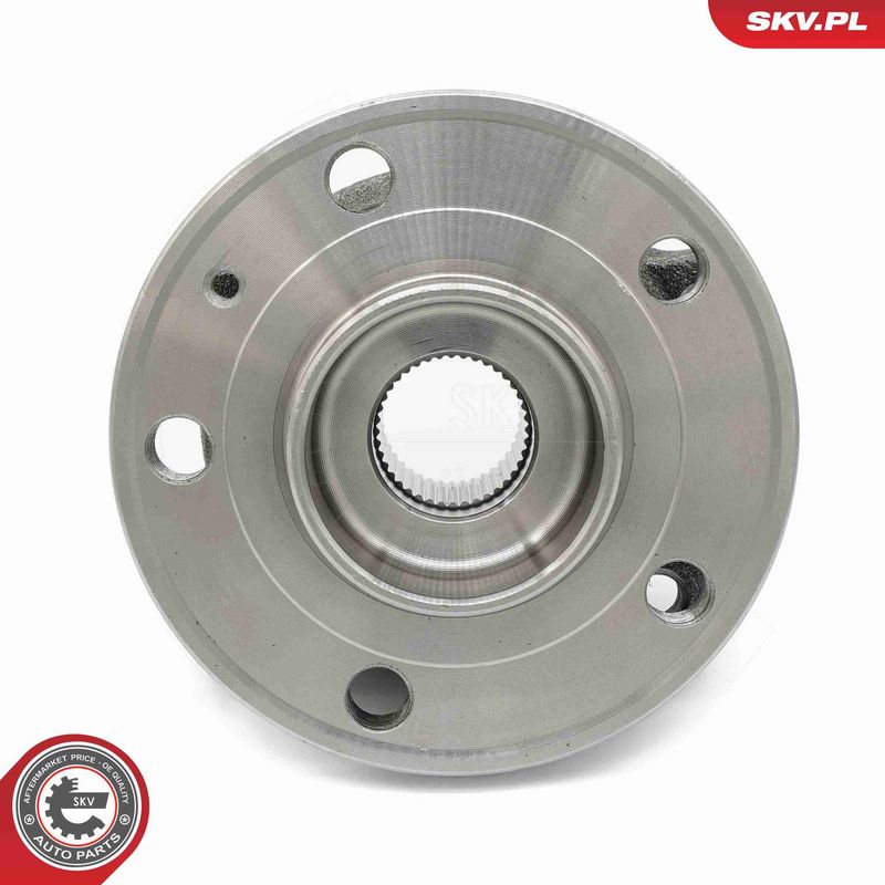 ESEN SKV 29SKV306 Wheel Bearing Kit