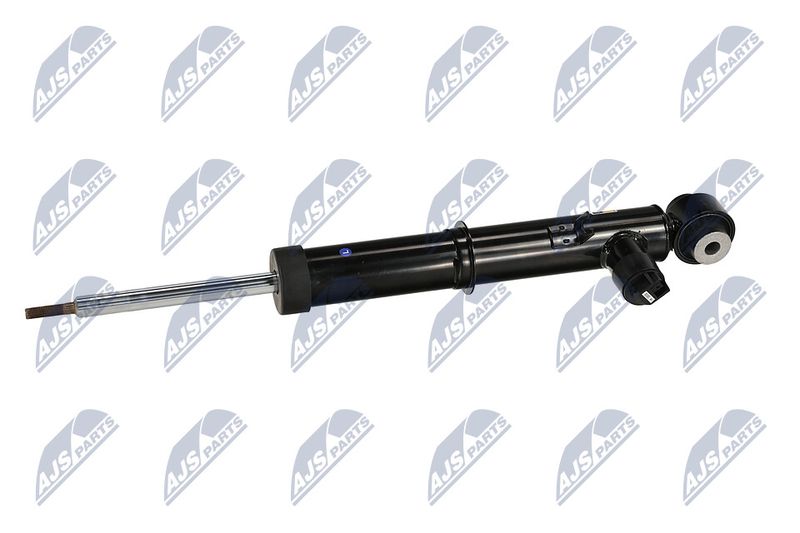 Amort, NTY A-LR-034
