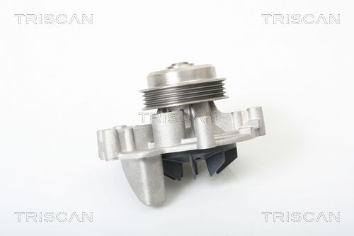 TRISCAN Vízszivattyú, motorhűtés 8600 28006