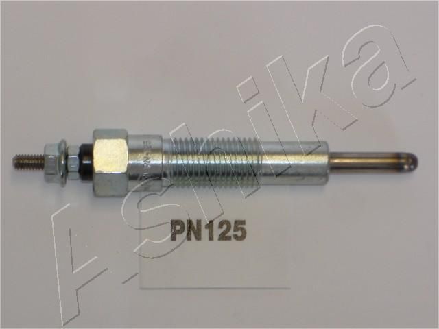 PN125_1.JPG