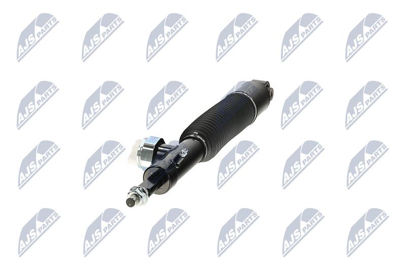 Amort, NTY A-NS-056