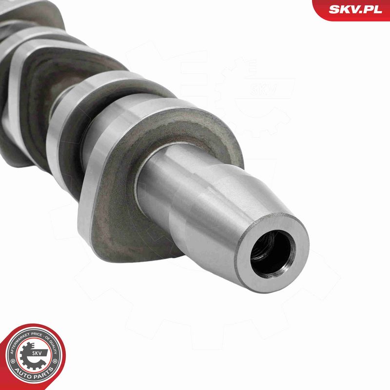 ESEN SKV 80SKV302 Camshaft Kit