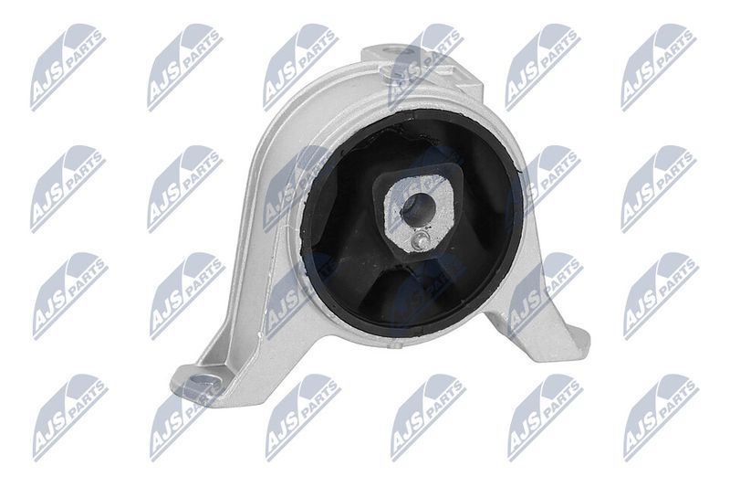 Paigutus, Mootor, NTY ZPS-PL-001