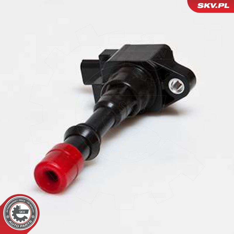 Süütepool, ESEN SKV 03SKV165