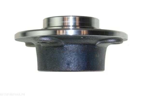 AUTOMEGA 110129010 Wheel Hub