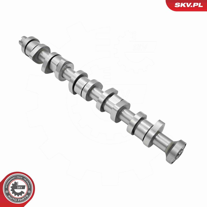 ESEN SKV 80SKV304 Camshaft Kit