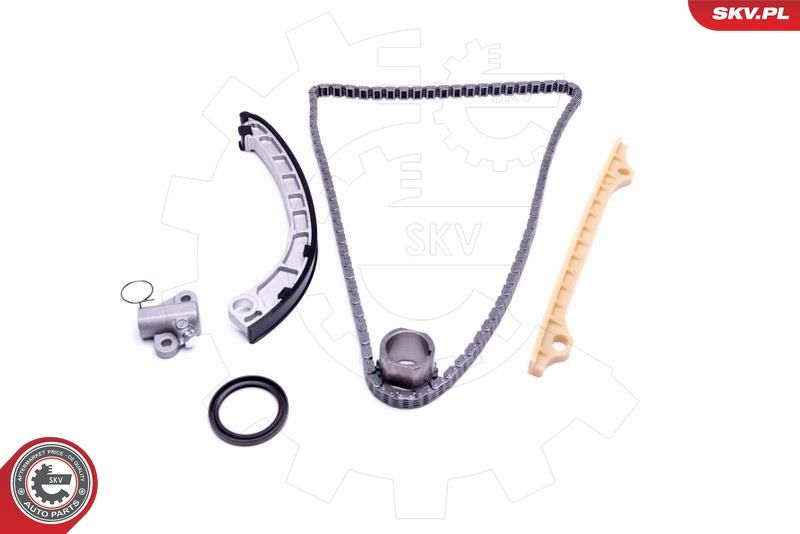 ESEN SKV 21SKV217 Timing Chain Kit