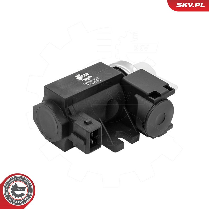 Article Picture