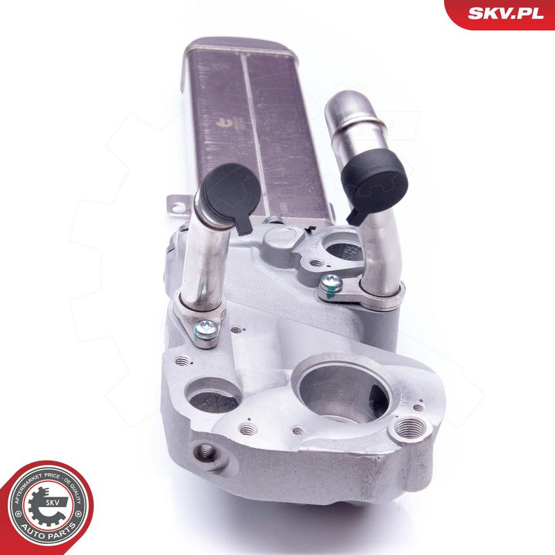 EGR-klapp, ESEN SKV 14SKV137