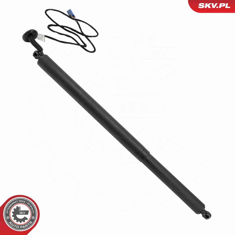 ESEN SKV 52SKV883 Electric Motor, tailgate