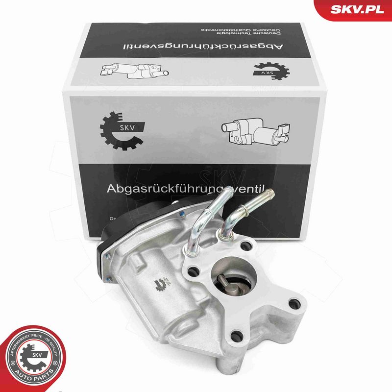 ESEN SKV 14SKV265 - EGR Valve