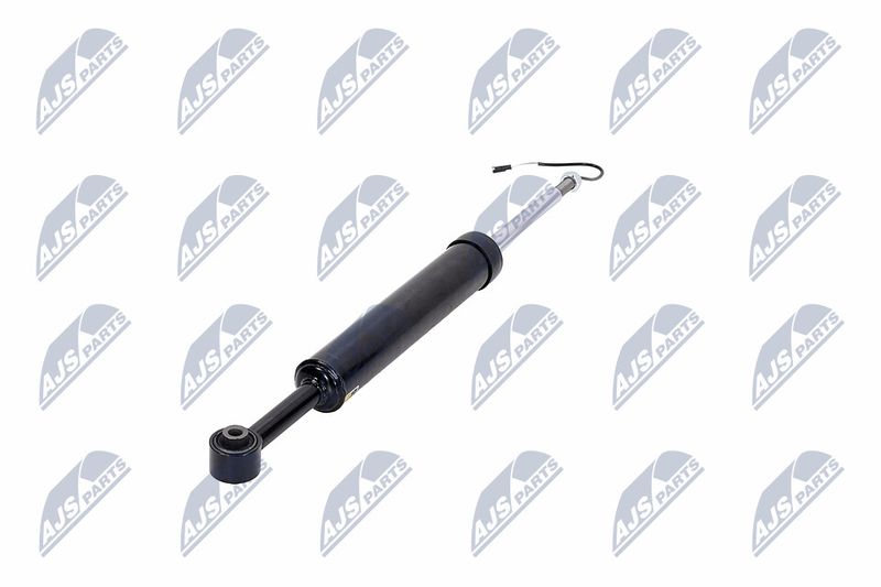 Amort, NTY A-MA-002