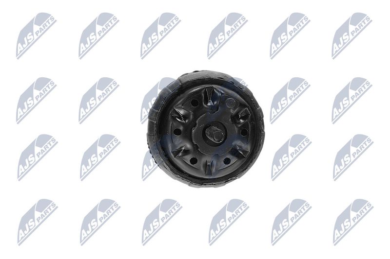 Paigutus, Mootor, NTY ZPS-CH-139