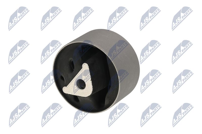 Paigutus, Mootor, NTY ZPS-CH-039