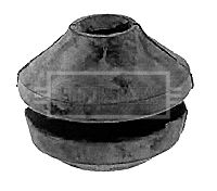 BEM3148_210007.JPG