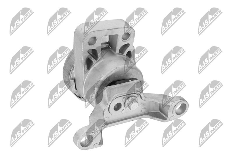 Paigutus, Mootor, NTY ZPS-FR-033