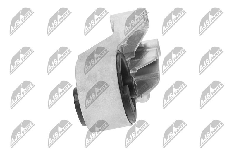 Paigutus, Mootor, NTY ZPS-PL-069