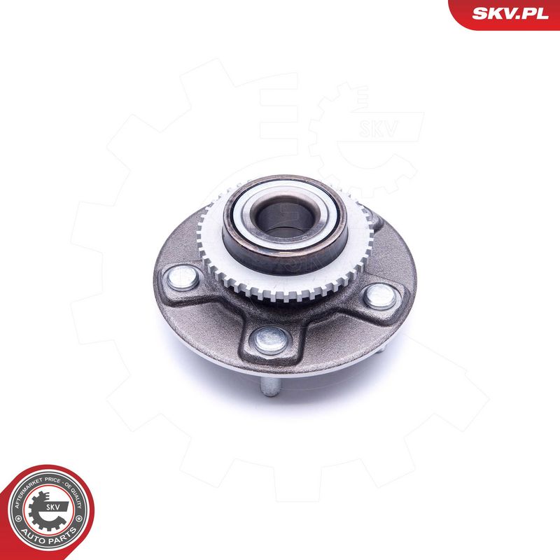 Rattalaagrikomplekt, ESEN...