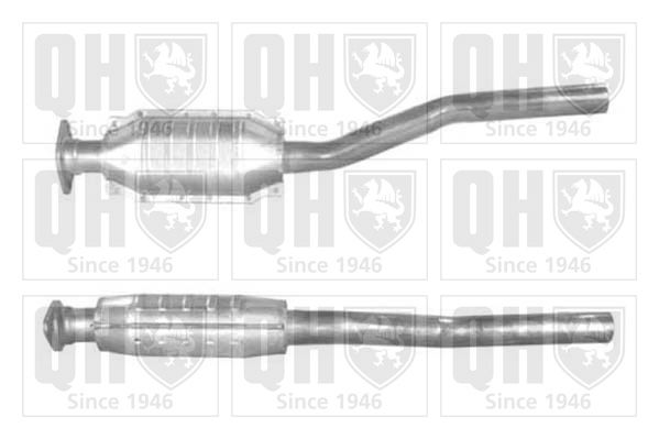 QH_QCAT80100H.JPG