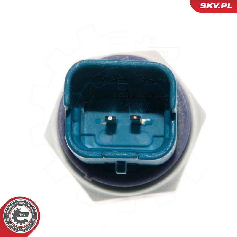 Õlisurvelülitus, Roolivõimendi, ESEN SKV 95SKV201