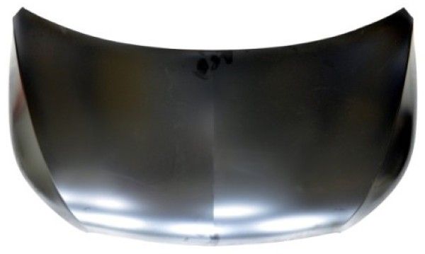 Capota motor MTR 12139265