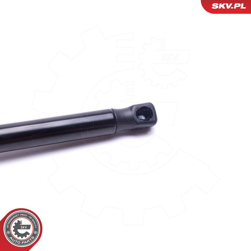 Gaasivedru, pagasi-, veoruum, ESEN SKV 52SKV585