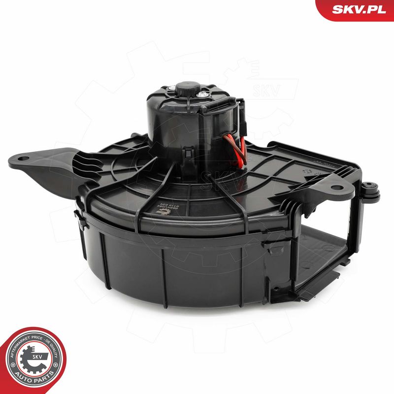 Salongipuhur, ESEN SKV...