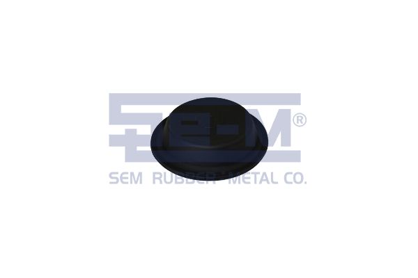 Membrána pružinového brzdového válce 15880