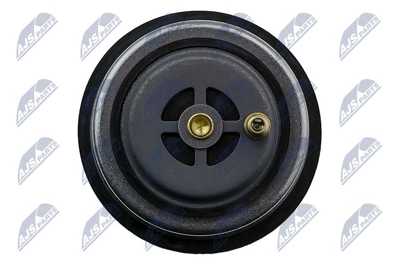 Termostaat, Jahutusvedelik, NTY CTM-WW-055