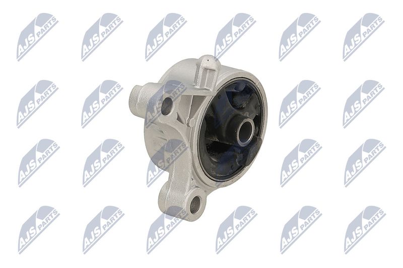 Paigutus, Mootor, NTY ZPS-PL-093