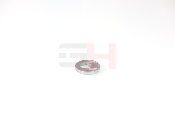 caster shim, sillatala, GH GH-391582